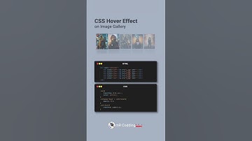 Css Hover Effect On Image Gallery #shorts #explore #coding