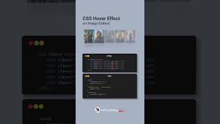 Css Hover Effect On Image Gallery #shorts #explore #coding