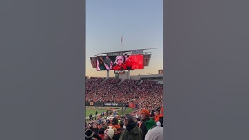 Thumbnail of Bengals Growl Chant @KansasCityChiefs at @Bengals @NFL Week 13 2022
