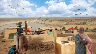 People living in Cholistan and their beautiful mud houses || cow's milk and healthy animals 🇵🇰💯🏕
