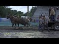 Trumansburg,NY 2018 Heavyweight Horse Pull Clips