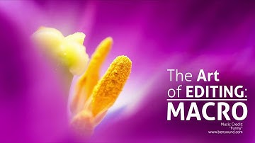 The Art of Editing - Macro