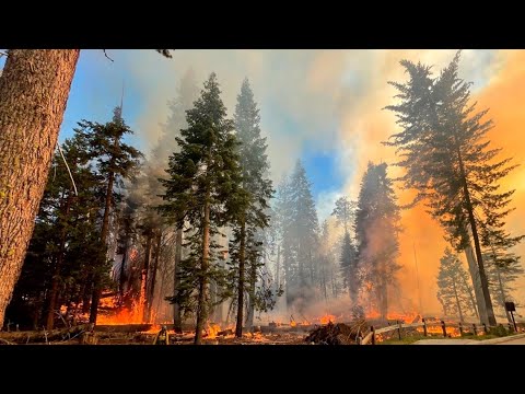 آتش سوزی یوسمیتی: تأثیر اقتصادی آتش سوزی واشبرن در نزدیکی پارک ملی یوسمیتی