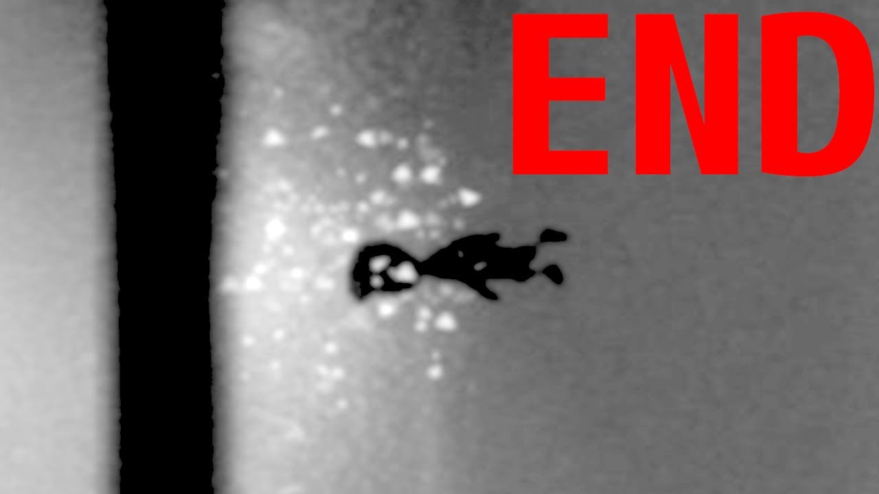 妹発見!?ガラスの先に待ち受けていたもの - LIMBO 実況プレイ - END