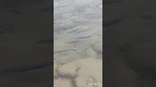 Oregon Sandy River Smelt 03/08/2026