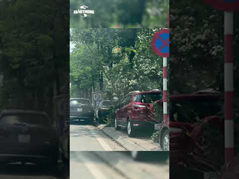 Video Dừng nơi có biển cấm, xe vẫn nổ máy, bật xi nhan có bị... - youtube