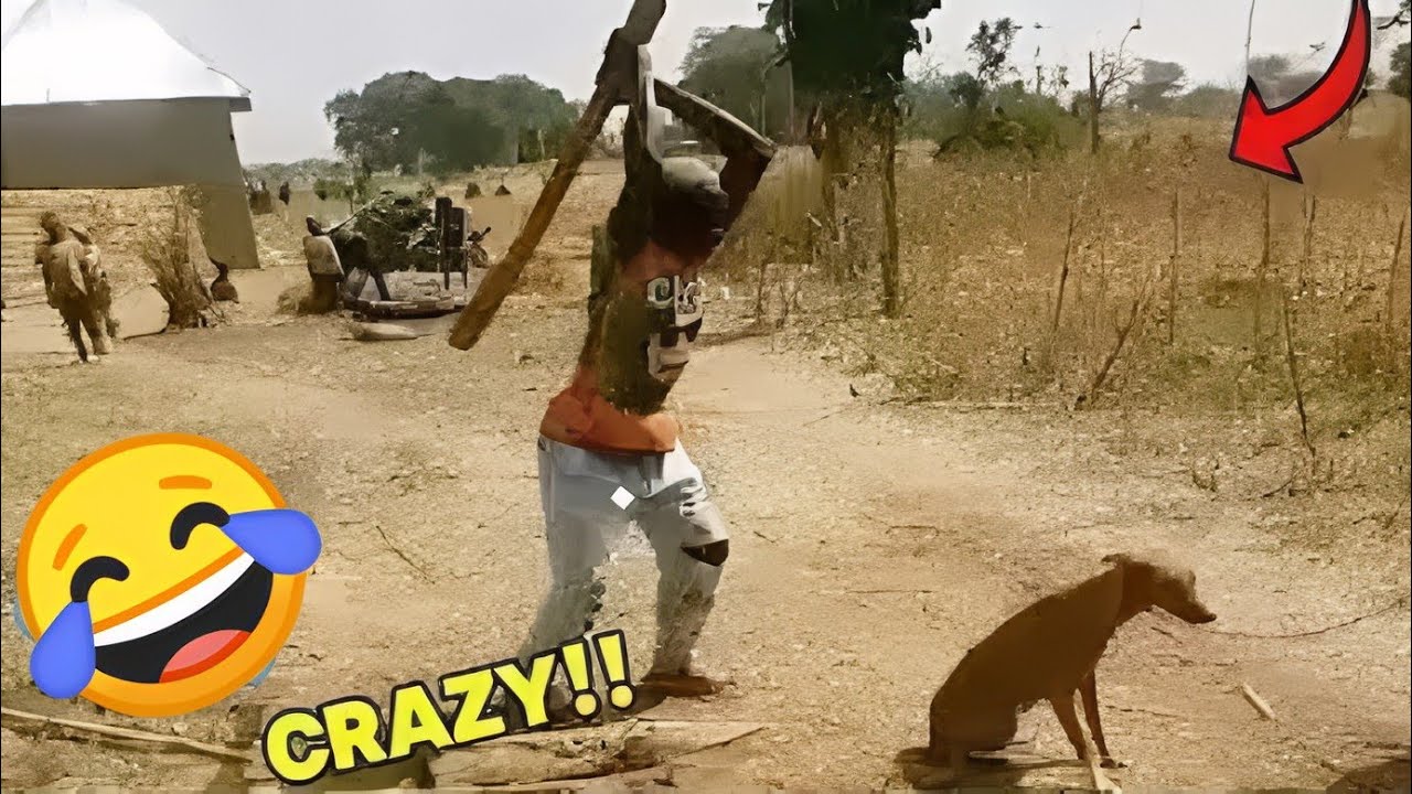 Total Idiots At Work 😂😂😂 | 100% Stupid | Try Not To Laugh Challenge LEVEL 9 😂😂😂