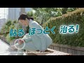 バンドエイド® キズパワーパッド™ テレビCM「貼る、ほっとく、治る」篇 15秒