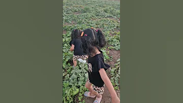 التوأم المرح وجان اكسبلور لايك 
