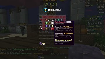 BEST HYPIXEL SKYBLOCK MONEY MAKING METHOD | BAZAAR FLIPPING Macro Mod | 85m each hour | august 2025