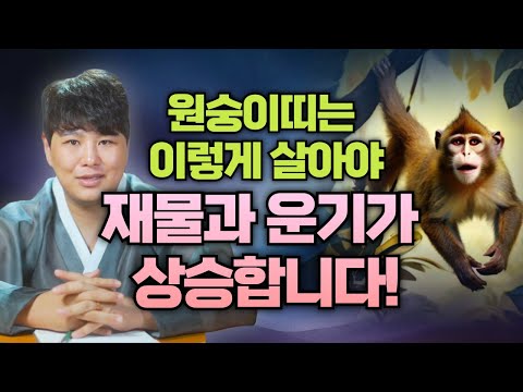 원숭이띠들은 이렇게 살아야 <strong>재물운과</strong> 운기가 왕창 올라갑니다🙉 /의정부용한점집 [더샤머니즘]