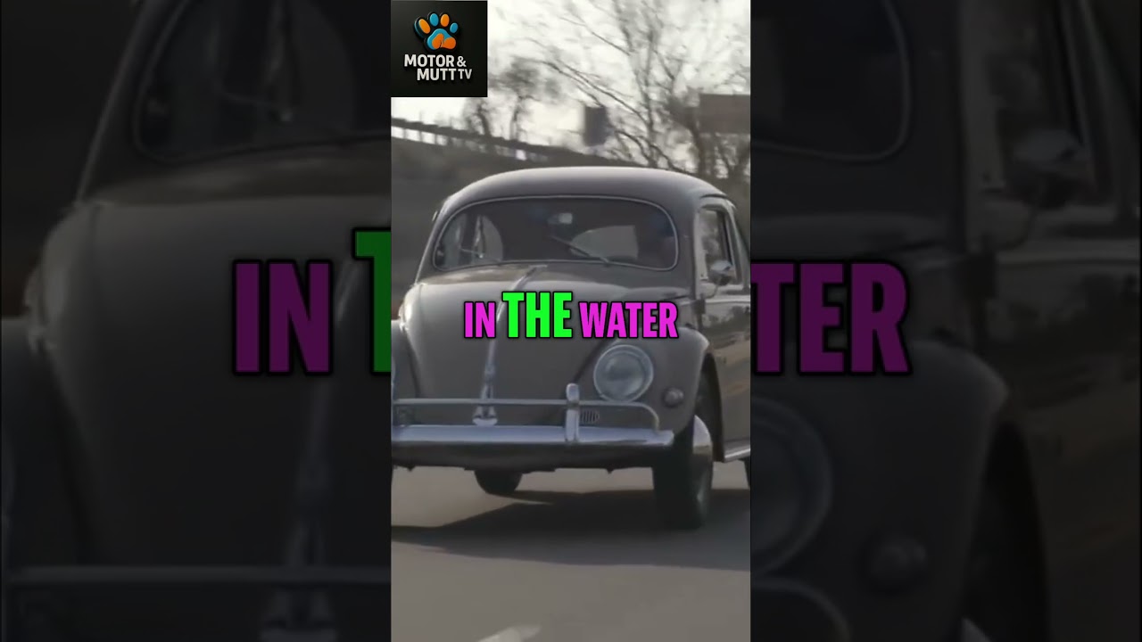 Vintage Volkswagen: A Classic Car Story & Fun Facts