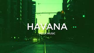 Camila Cabelo - Havana (FR!ZZY Deep House Remix)