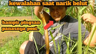 KEWALAHAN NARIK BELUT BESAR SAAT PANAS POOL