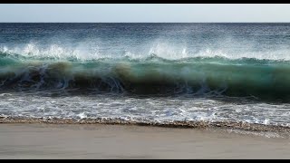 Motions of water and sediment in a plunging breaker on a sandy beach • Playback speed 2x slower