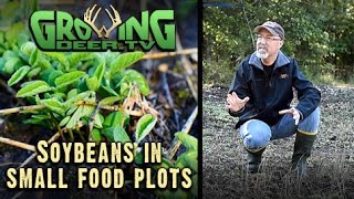 The Best Food Plot Strategies: Learning From Experience (#288) @GrowingDeer.tv