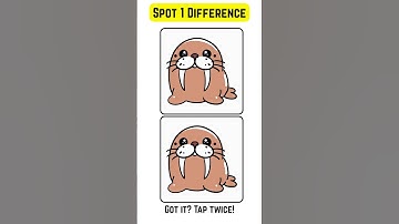 Find One Difference #322