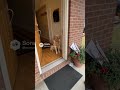 Bees dog #ai #cutedog #shorts #ai