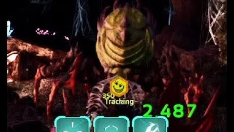 ASA Valguero - Broodmother Lysrix