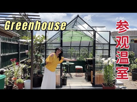 【种植63】参观温室，经验体会 + 如何选购 + 建造注意事项 Visit My Greenhouse, How to choose and build a greenhouse