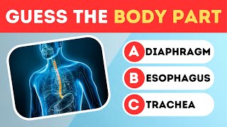 Test Your Anatomy Knowledge | Guess the Body Parts Quiz | Test Your Anatomy IQ 🧠🧠🧠 screenshot 3