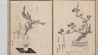 The Art of Ikebana