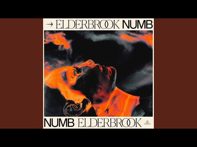 Elderbrook  -  Numb (Elderbrook VIP) 2020