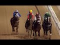 DWCC Meydan Racecourse 25-2-16, Race 1 Al Naboodah National Contracting Abu Dhabi Trophy Handicap
