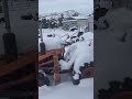 Kubota B7100 tractor cold start