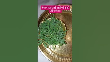 जीवन मे बहुत दुःख है तकलीफ है तो 108 शमीपत्र #shivpuran #pradeepmishrajikeupay #mahadevbhkt #mhakal