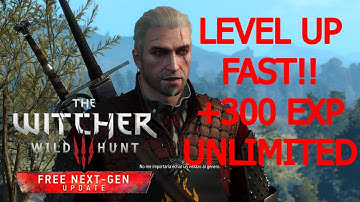 The Witcher 3 LEVEL UP FAST Glitch +300 EXP UNLIMITED 2024*
