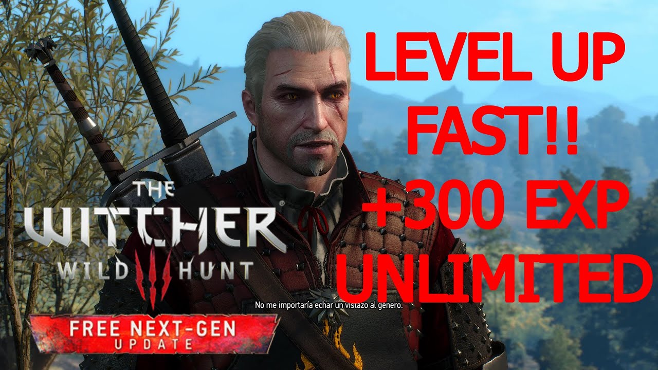 The Witcher 3 LEVEL UP FAST Glitch +300 EXP UNLIMITED 2024*