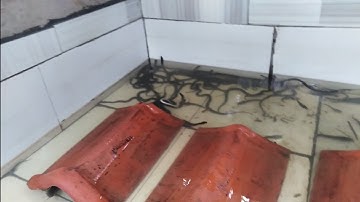 NUÔI RẮN RI CÁ THẤT BẠI VÌ XEM TIN NHỮNG LỜI CÓ CÁNH TRÊN MẠNG XÃ HỘI & NGUYÊN NHÂN TỪ  NUÔI THỰC TẾ