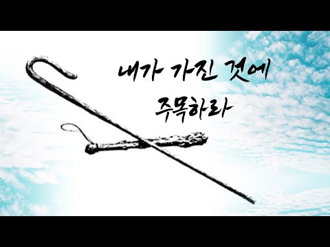 파랑새칼럼 19 | 가진 것에 주목하라