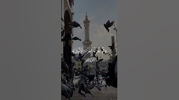وأن ليس للإنسان إلا ما سعى | الآية 39 من سورة النجم#quran #allah #قرآن #surahnajm