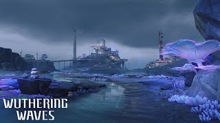 Wuthering Waves   Black Shores Ost  De Insomniis  On Dreams