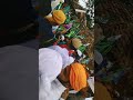 Eid milad un Nabi Nara
