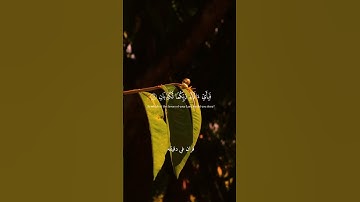 قران كريم ارح قلبك وسمعك #قران_في_دقيقة #quran #قرآن#اسلام_صبحي @قران_في_دقيقة