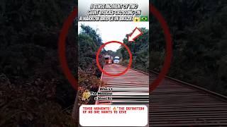 Truck Drivers' Courage Test: Extreme Logistics Routes Will Give You a Heart Attack! 🇧🇷#shortvideos
