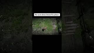 Crimson desert #crimsondesertgameplay #gaming #gamer #gamingmemes