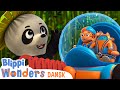 Dyr i regnskoven | Blippi Dansk | Moonbug Børn Dansk - tegnefilm for børn