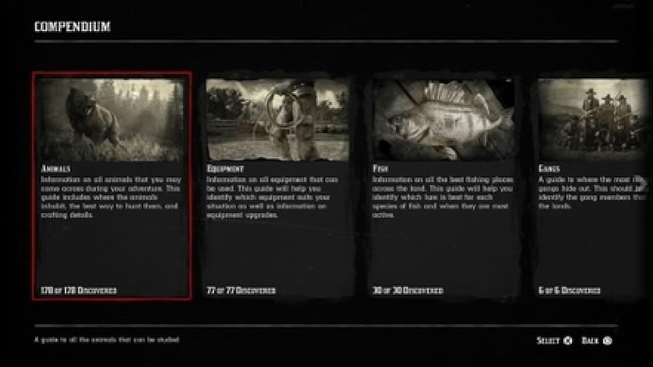 Animal Compendium 100% | RDR2 - YouTube