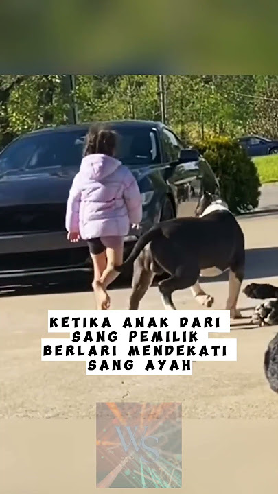 4 Anjing Penjaga Anak Kecil ❗❗🔥 #windusarrr #facts #shortvideo #shorts