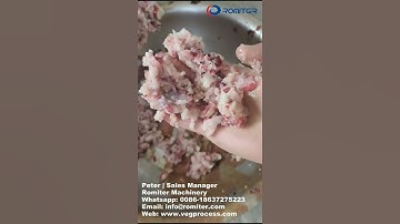 Automatic Lychee Puree Making Machine with Seeds Separating Function