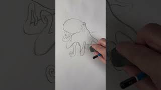 I use these five steps to draw anything!