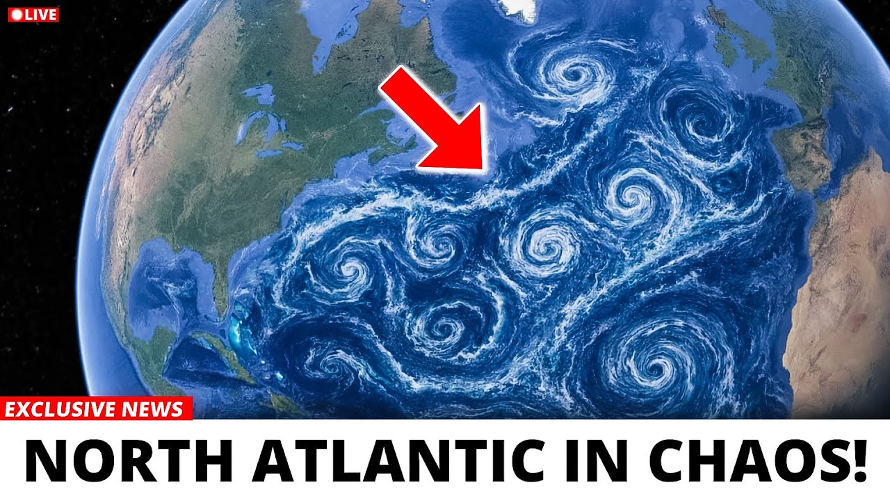 洋楽 THE NORTH ATLANTIC NOISE ATTACK 洋楽 THE NORTH ATLANTIC NOISE ATTACK The North Atlantic Noise