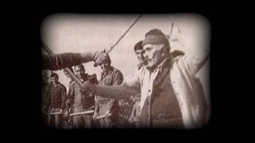 How Do You Use Your Skills to Solve a Problem?  User Innovation - The Story of Krav Maga