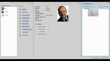 P2P Framework for Social Networks: Groups and Forums