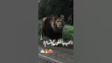 اسحب بالضلوع اقسام 