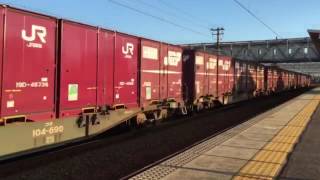 EF66 128号機(1255レ) 清洲駅通過